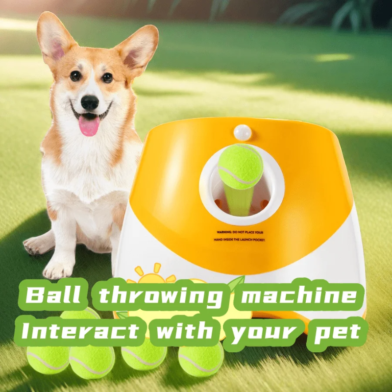 Dog Launcher Automatic Dogs Ch - Pinball Machine 리뷰 및 가격